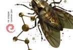 книга Созвездие Хаоса